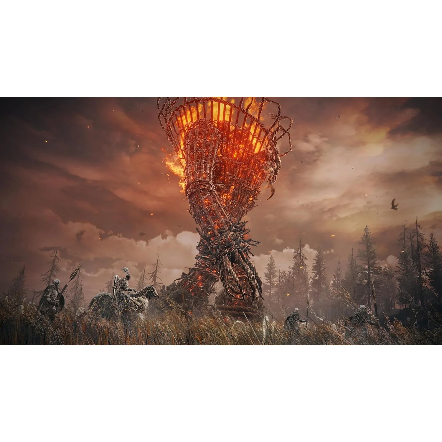 Elden Ring: Shadow of the Erdtree Edition - Xbox Series X - Bandai Namco - Image 3