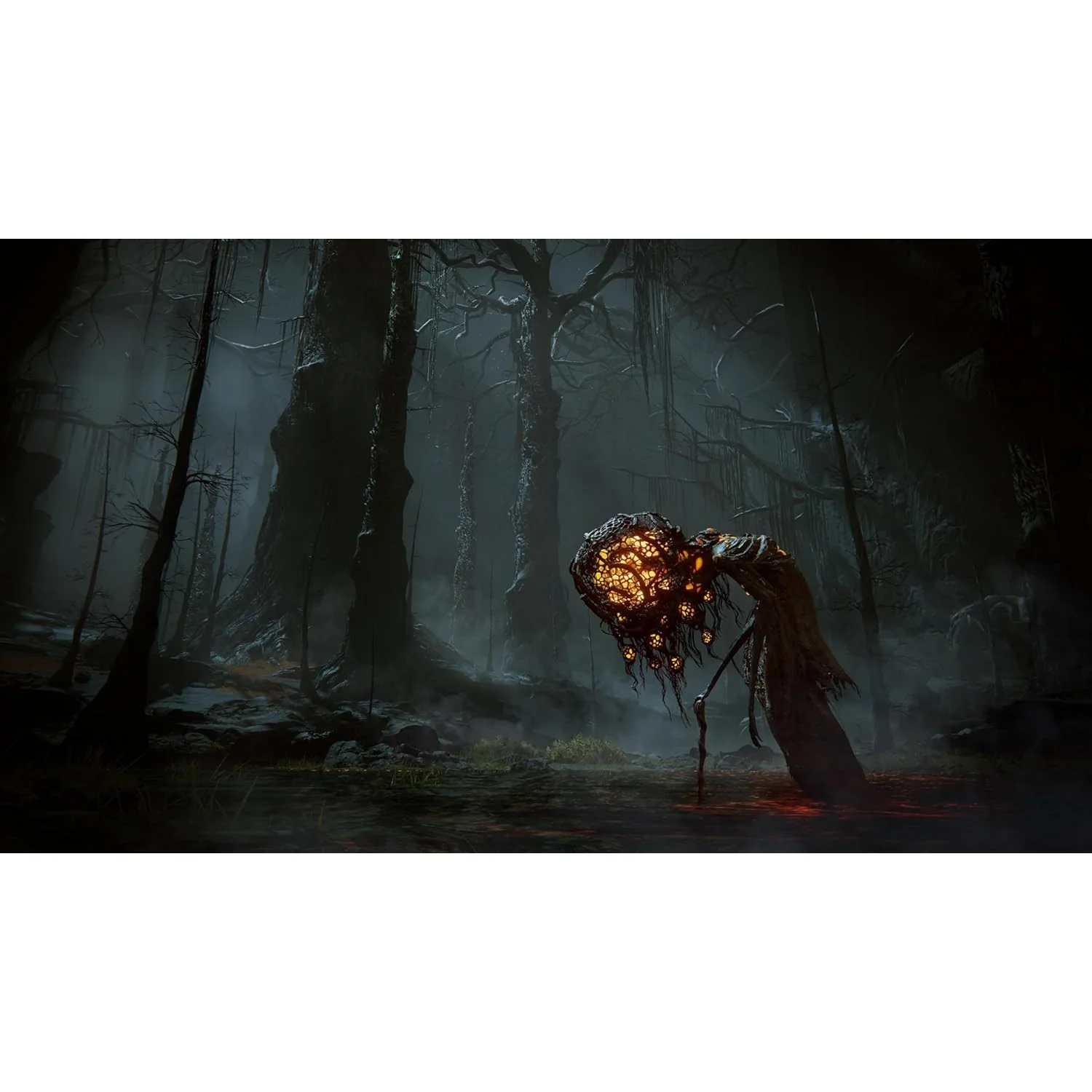 Elden Ring: Shadow of the Erdtree Edition - Xbox Series X - Bandai Namco - Image 6