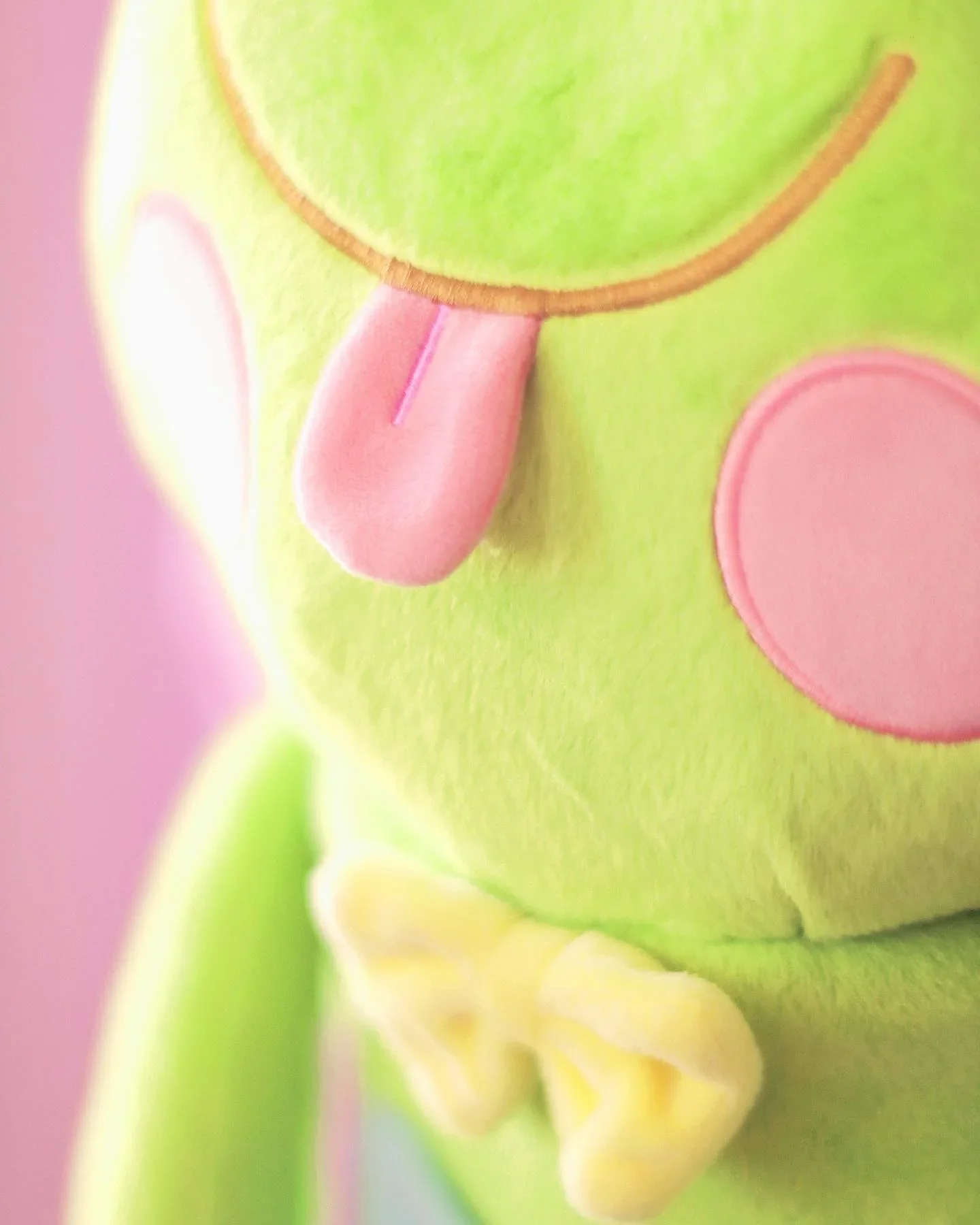 Frog Two Way Bag - Plush Backpack - Ugly Plants - Image 4
