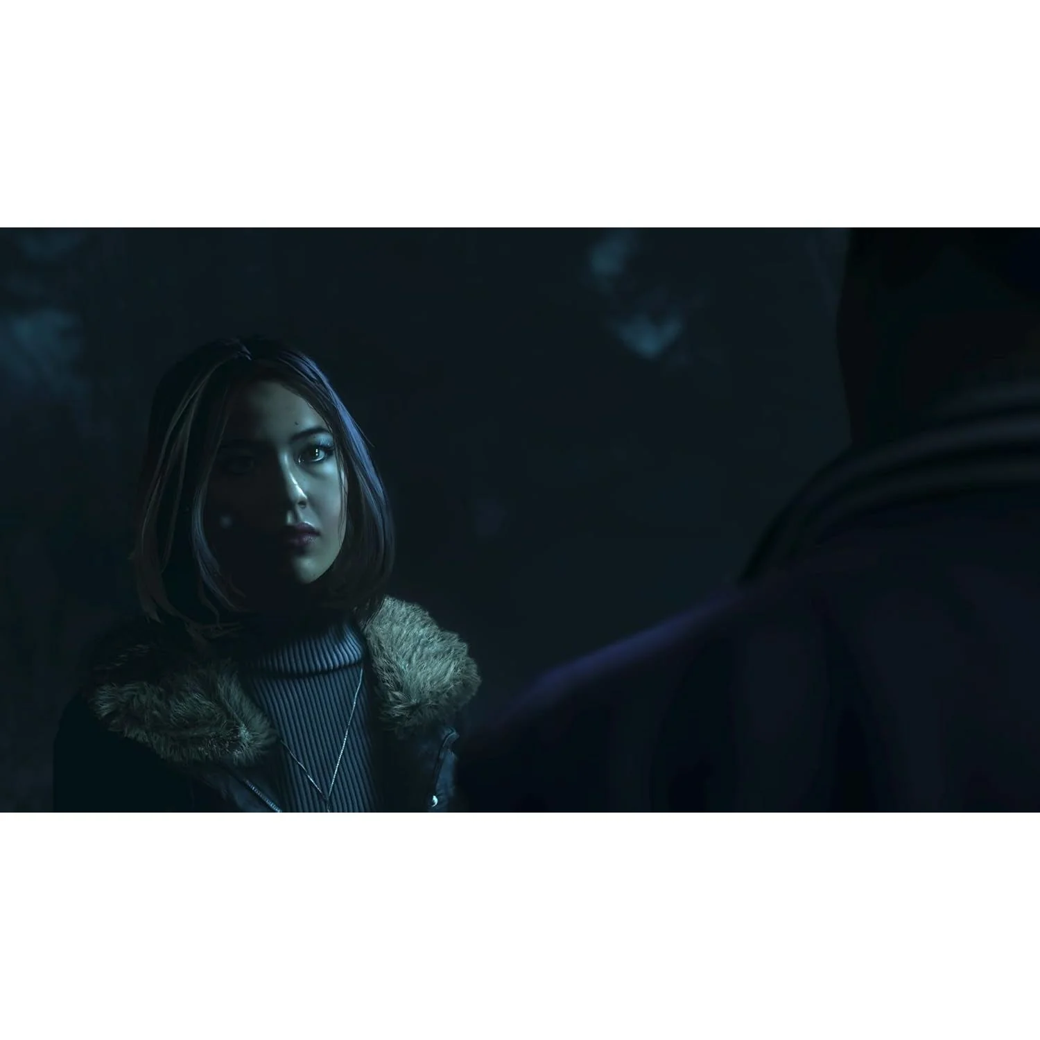 Until Dawn PlayStation Hits - PlayStation 4 - Sony Interactive Entertainment - Image 5