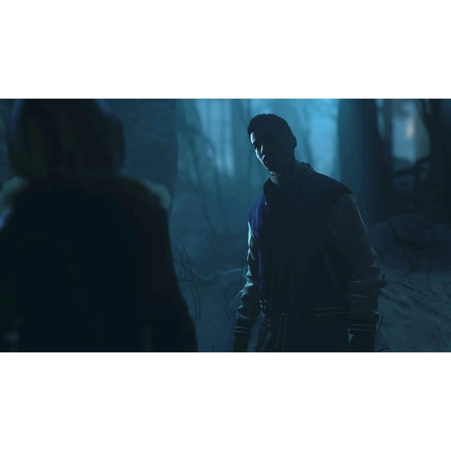Until Dawn PlayStation Hits - PlayStation 4 - Sony Interactive Entertainment - Image 8